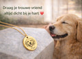 Gepersonaliseerde huisdierketting 2