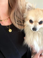 Gepersonaliseerde huisdierketting 3